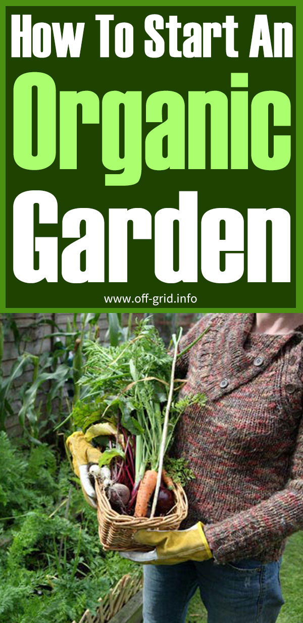 How To Start An Organic Garden Off Grid