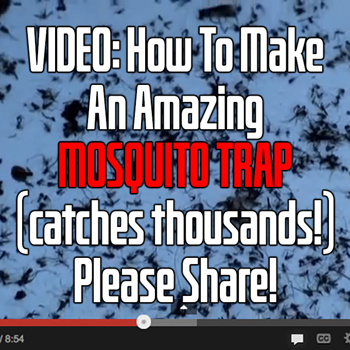 VIDEO - How To Make A Serious Mosquito Trap