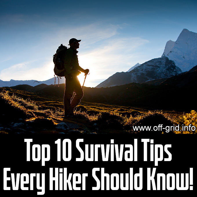 Top 10 Survival Tips Every Hiker Should Know