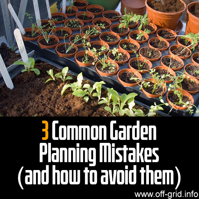3 Common Garden Planning Mistakes - And How To Avoid Them