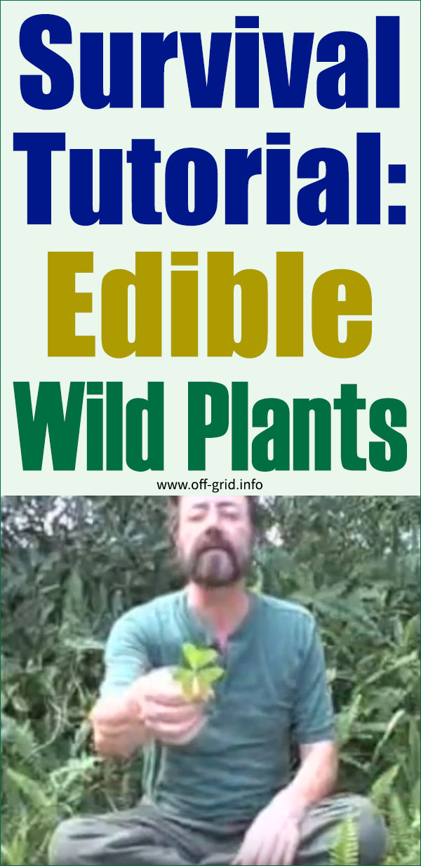 Amazing Survival Tutorial Edible Wild Plants