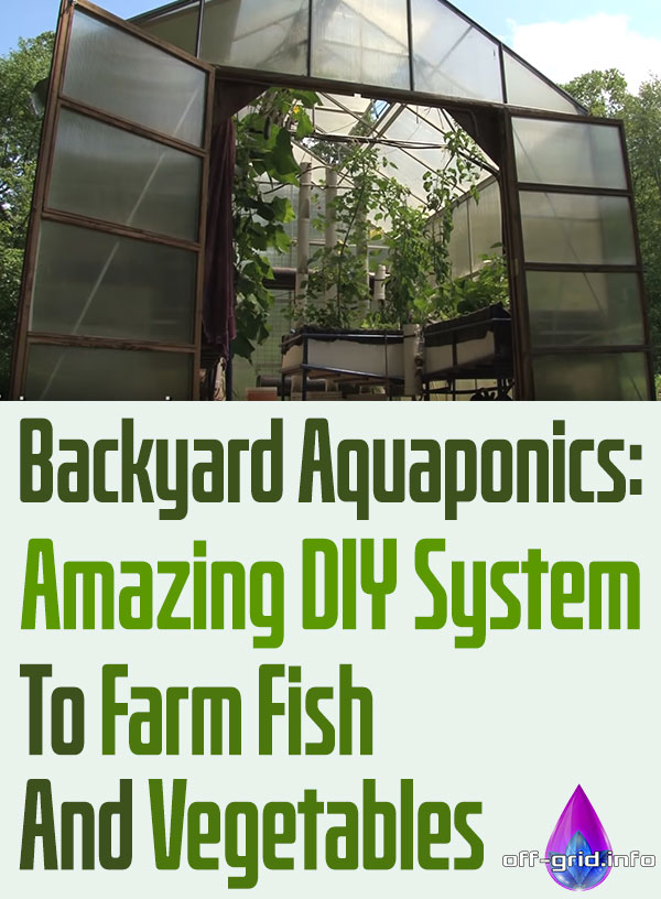 Backyard Aquaponics Amazing DIY System To Farm Fish And Vegetables