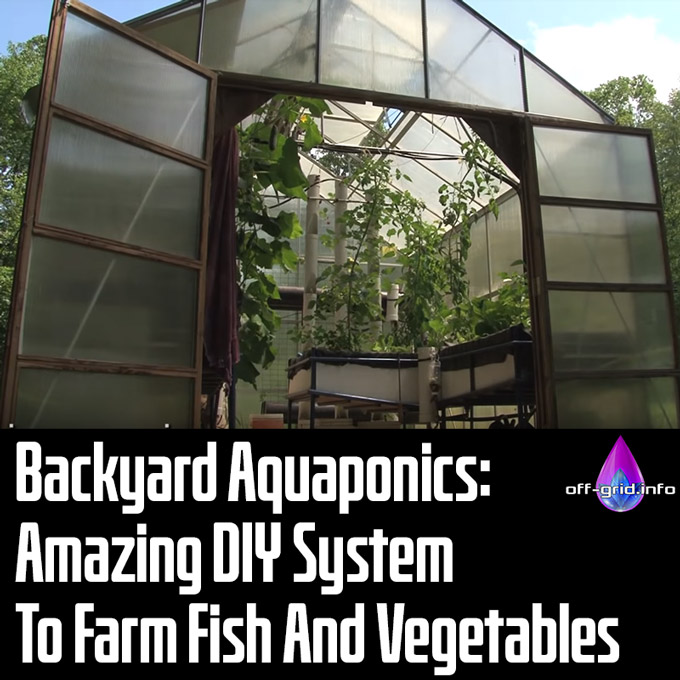 Backyard Aquaponics - Amazing DIY System To Farm Fish And Vegetables