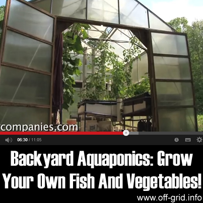 Backyard Aquaponics: Grow Your Own Fish And Vegetables