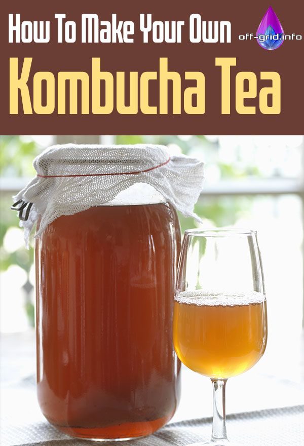 How To Make Your Own Kombucha Tea