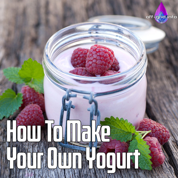 How To Make Your Own Yogurt