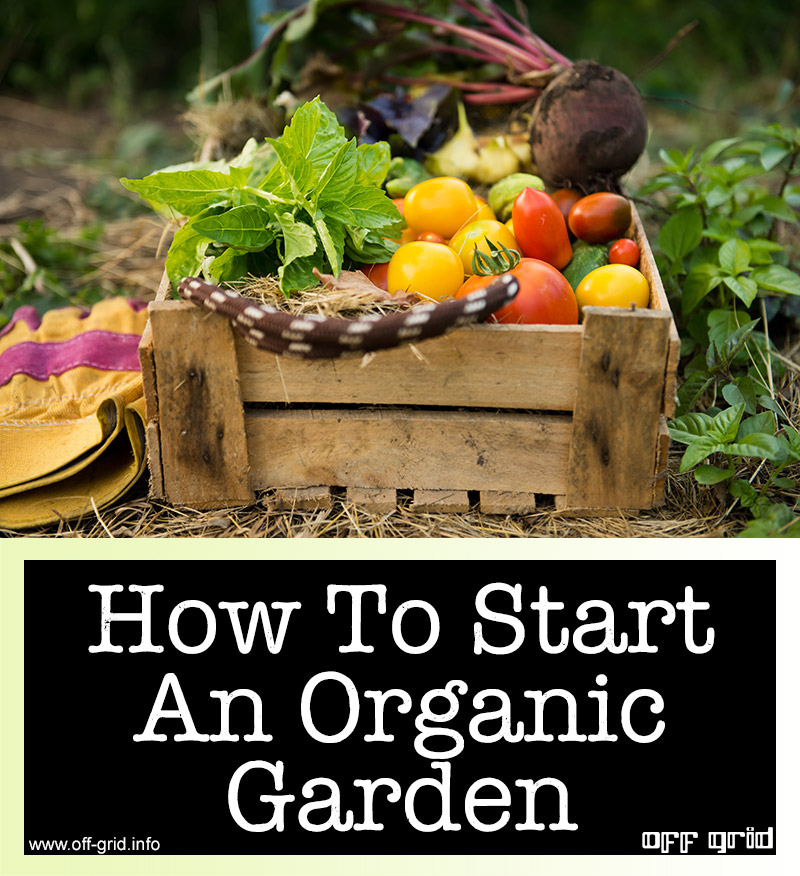 How To Start An Organic Garden
