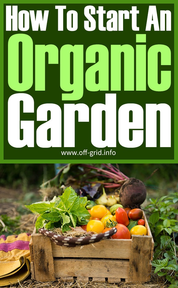 How To Start An Organic Garden