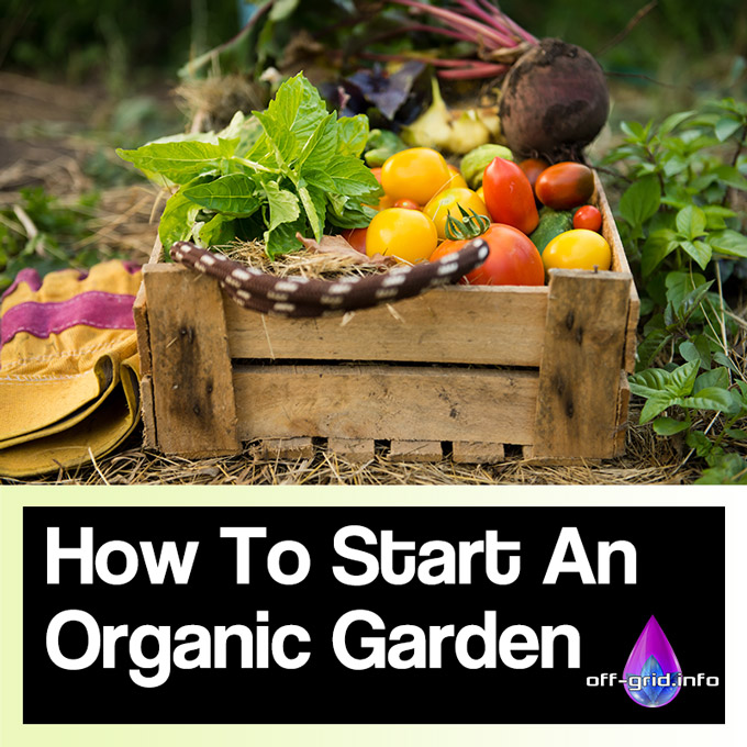 How To Start An Organic Garden Off Grid