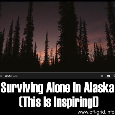 Surviving Alone In Alaska (This Is Inspiring!)