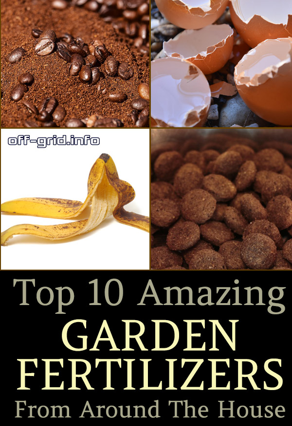 Top 10 Amazing Garden Fertilizers Around The House