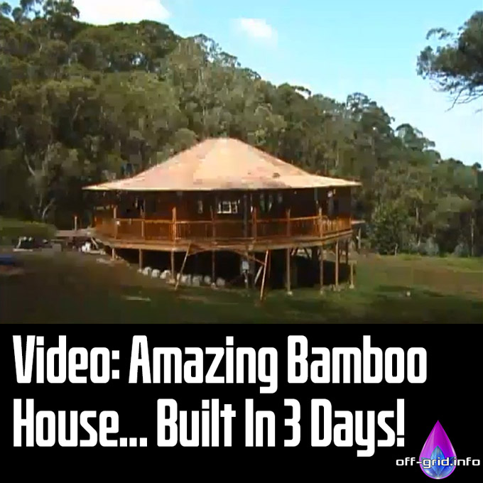 VIDEO: Amazing Bamboo House... Built In 3 Days!