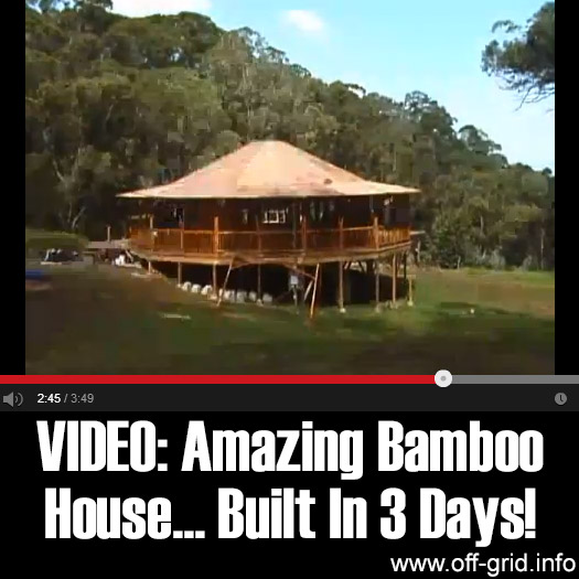 Amazing Bamboo House Built In 3 Days
