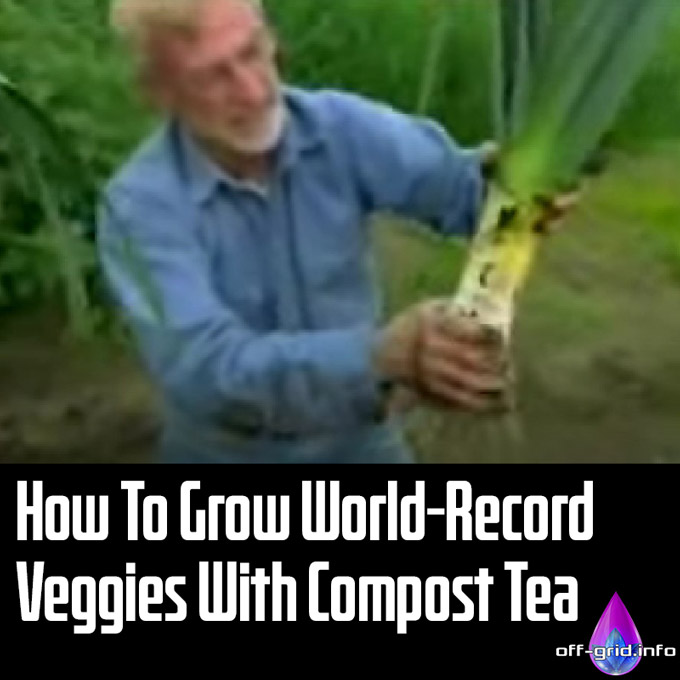 How To Grow World-Record Veggies With Compost Tea