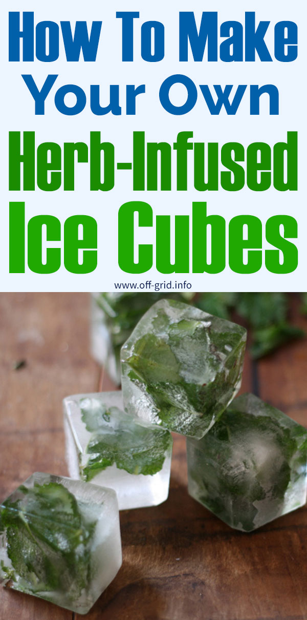 How To Make Your Own Herb-Infused Ice Cubes