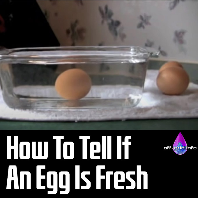 How To Tell If An Egg Is Fresh
