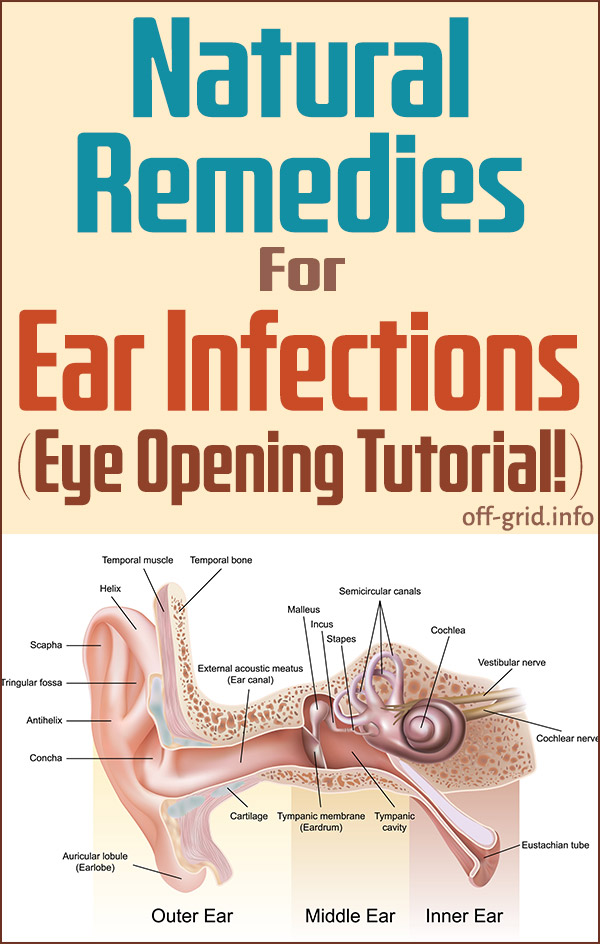 Natural Remedies For Ear Infections (Eye Opening Tutorial!)