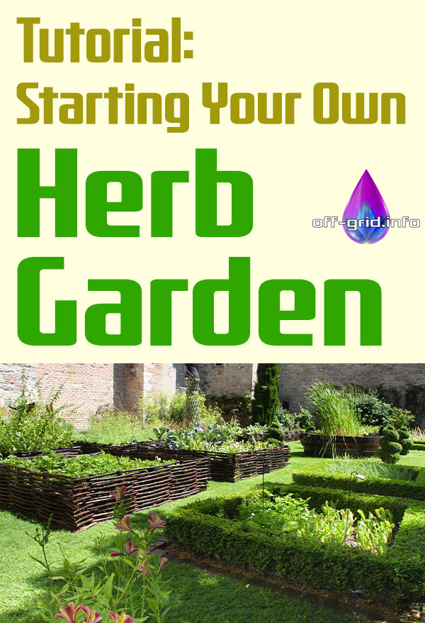 Tutorial Starting Your Own Herb Garden
