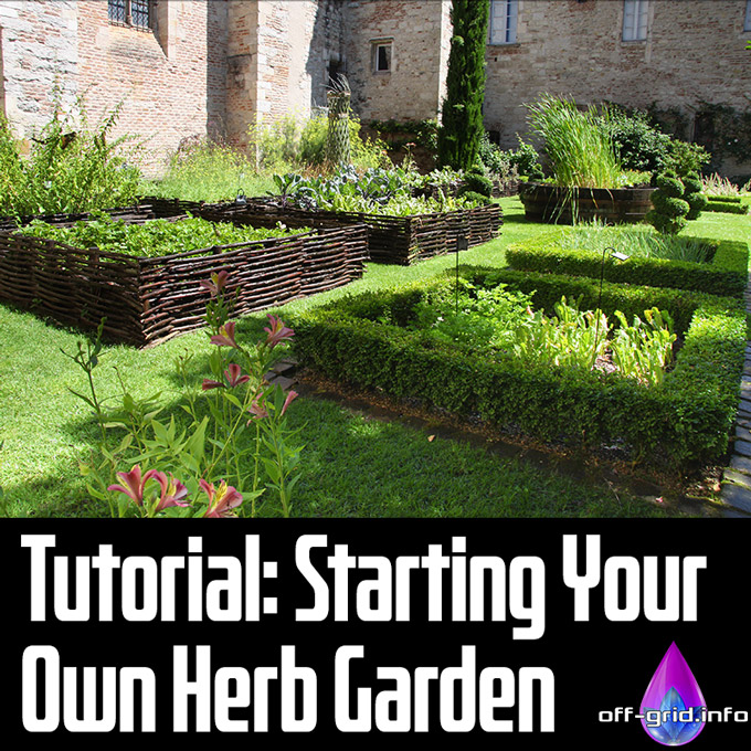 Tutorial Starting Your Own Herb Garden 