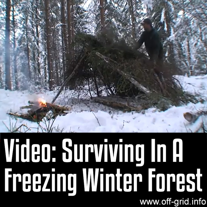Video - Surviving In A Freezing Winter Forest