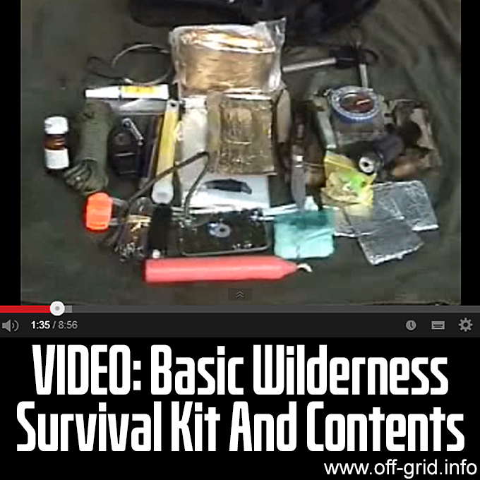 Basic Wilderness Survival Kit and Contents