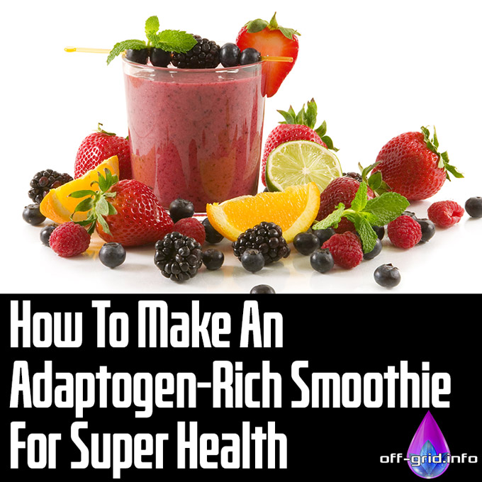 How To Make An Adaptogen-Rich Smoothie For Super Health