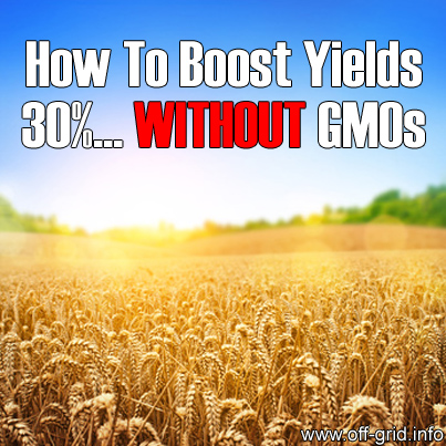How To Boost Yields 30%… Without GMOs