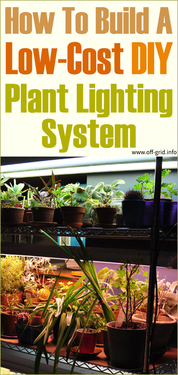 How To Build A Low-Cost DIY Plant Lighting System