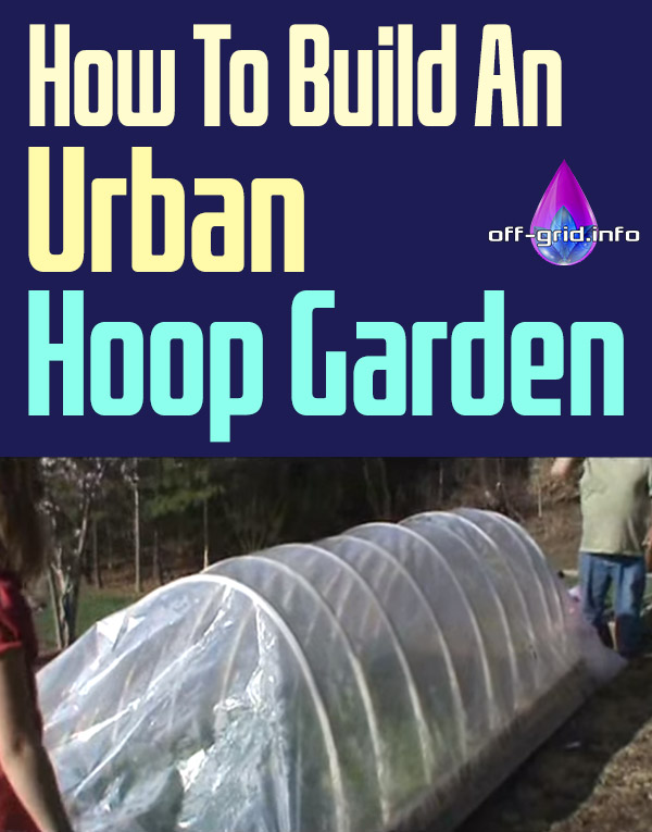 How To Build An Urban Hoop Garden