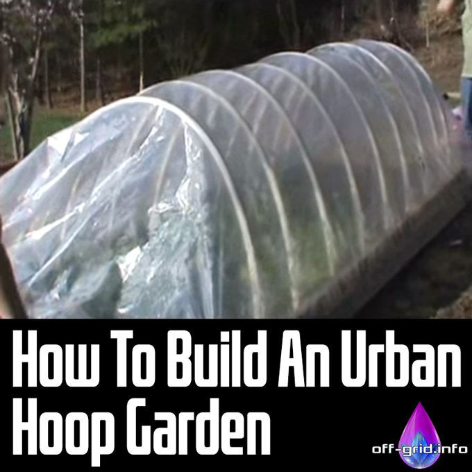 How To Build An Urban Hoop Garden