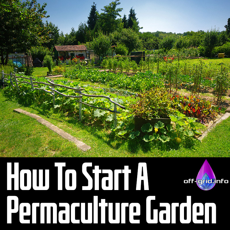 How To Start A Permaculture Garden