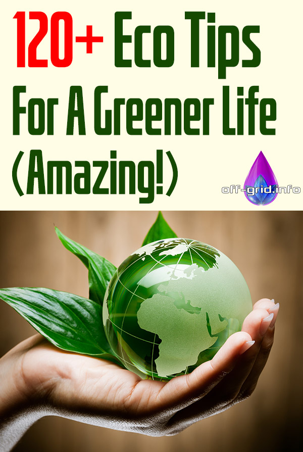 120+ Eco Tips For A Greener Life (Amazing!)
