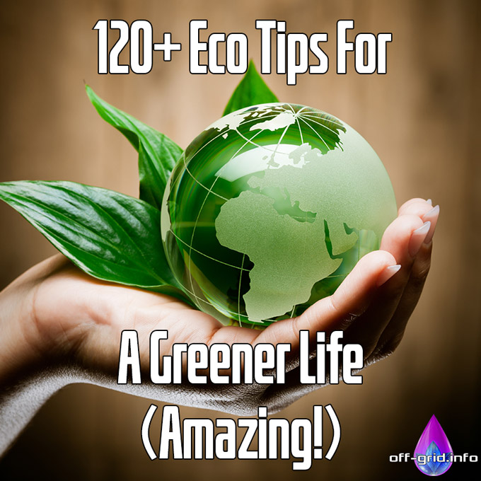 120+ Eco Tips For A Greener Life (Amazing!)