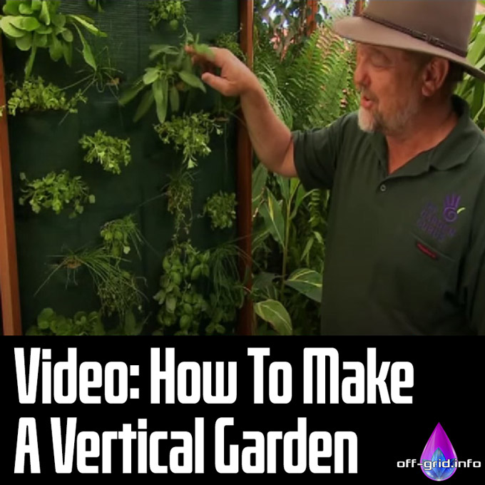 Video - How To Make A Vertical Garden