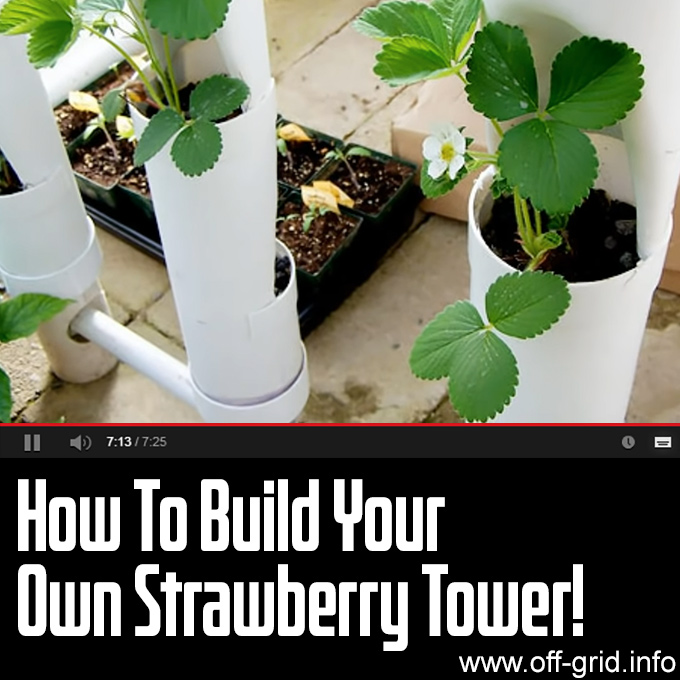 How To Build Your Own Strawberry Tower!