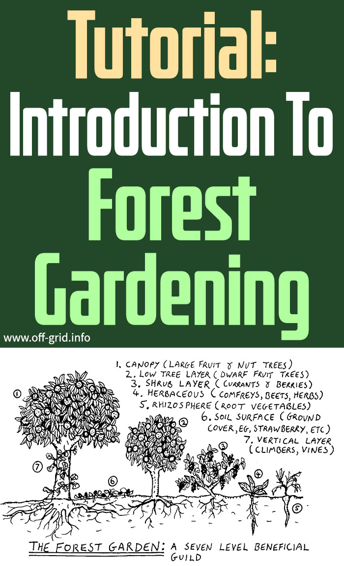 Tutorial Introduction To Forest Gardening