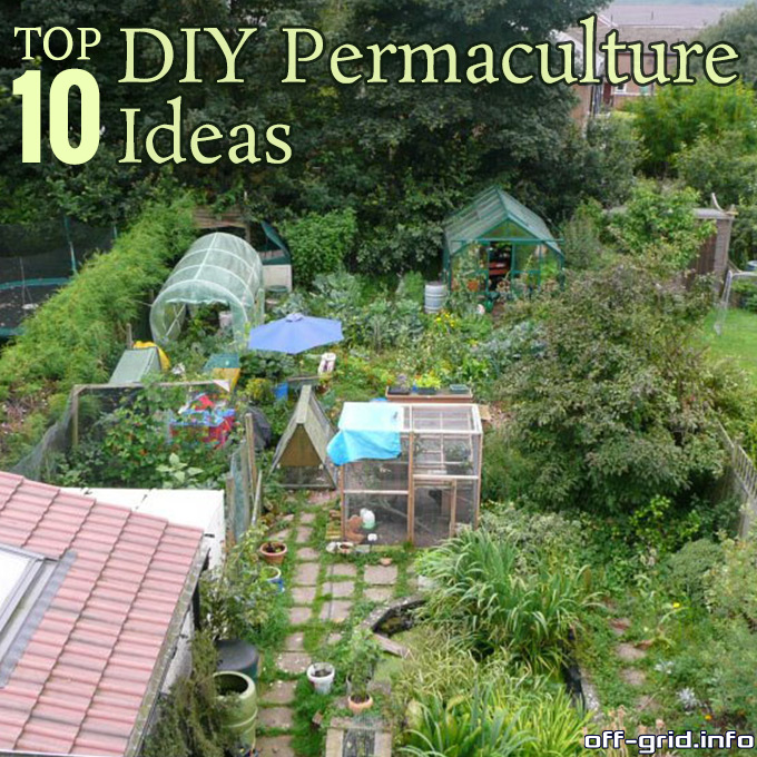Top 10 DIY Permaculture Ideas