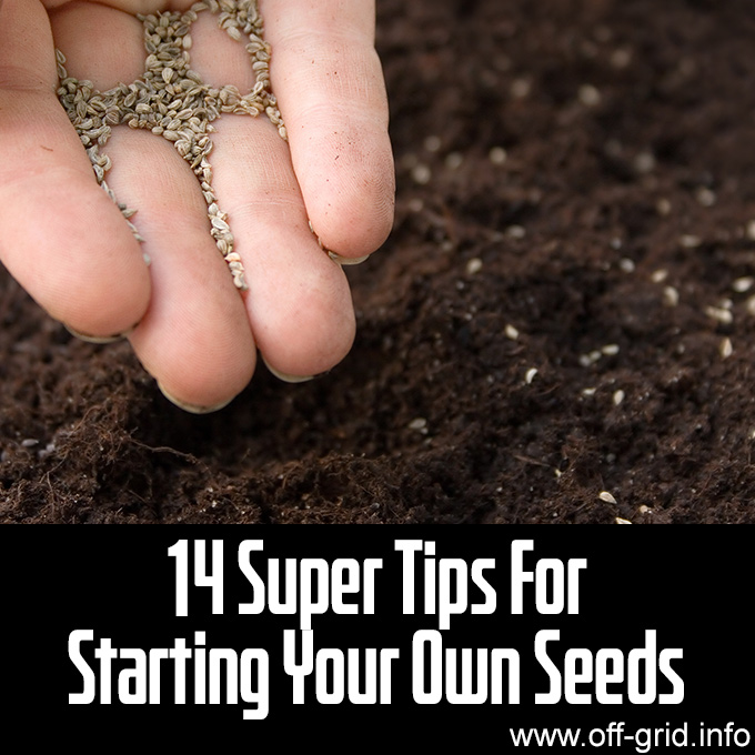 14 Super Tips For Starting Your Own Seeds