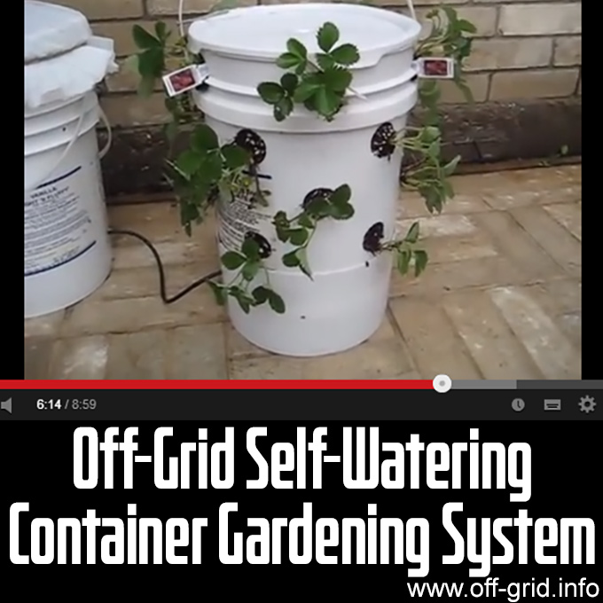 Off-Grid Self Watering Container Gardening System