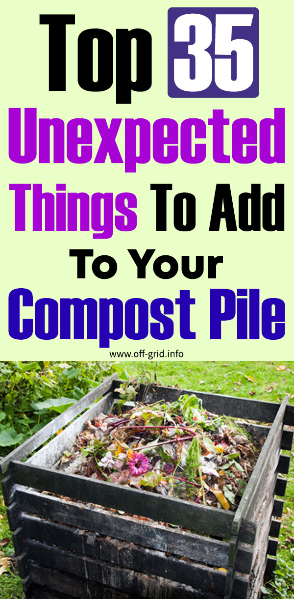 Top 35 Unexpected Things To Add To Your Compost Pile