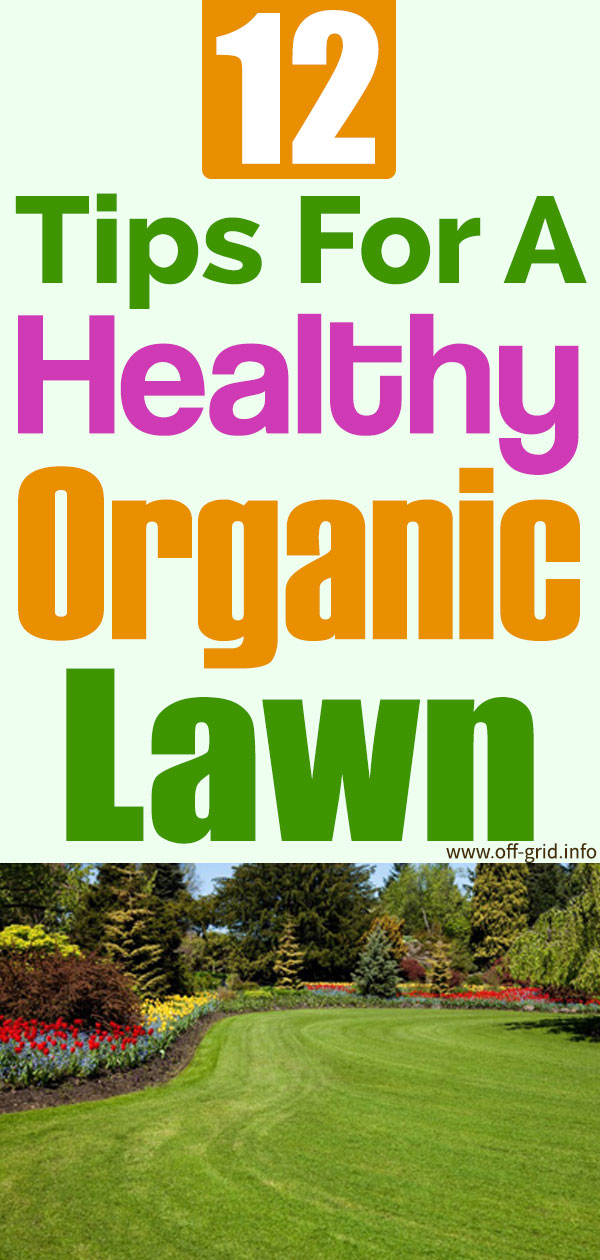 12 Tips For A Healthy Organic Lawn