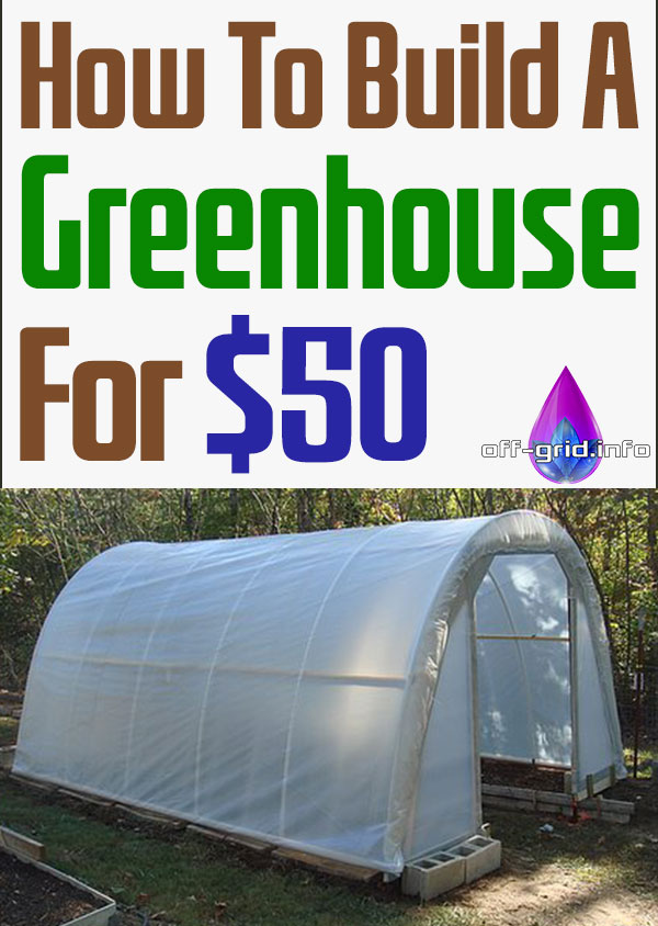How To Build A Greenhouse For $50