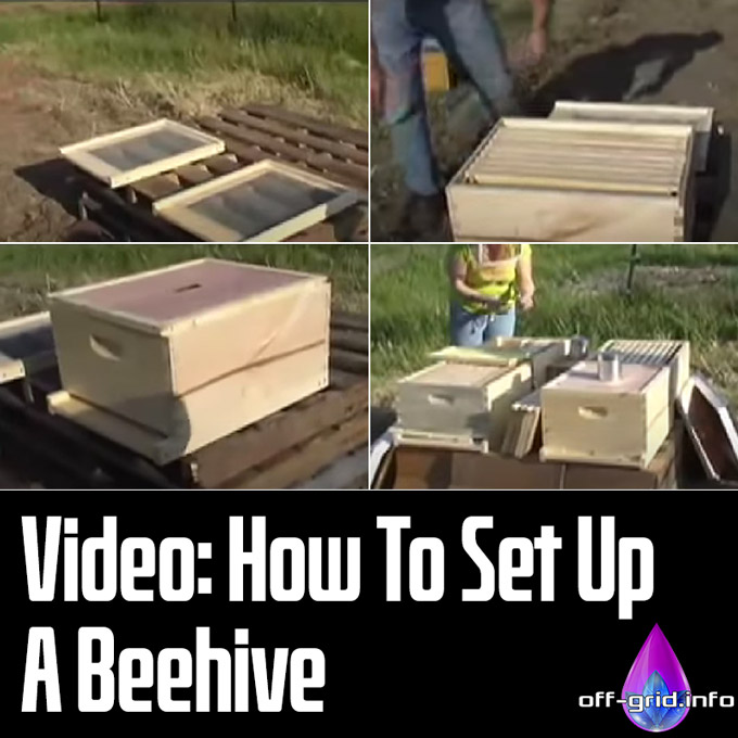 Video - How To Set Up A Beehive