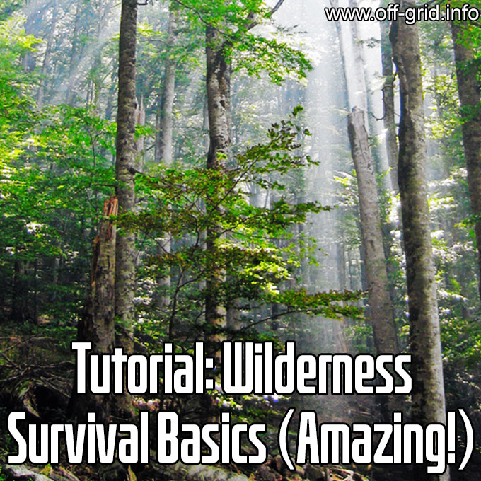Wilderness Survival Basics - Amazing