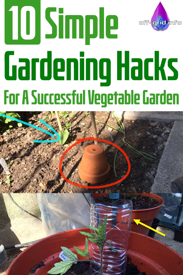 10 Simple Gardening Hacks For A Successful Vegetable Garden 