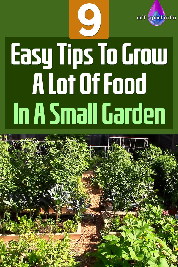 9 Easy Tips To Grow A Lot Of Food In A Small Garden