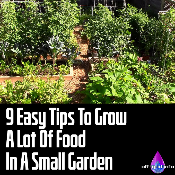 9 Easy Tips To Grow A Lot Of Food In A Small Garden