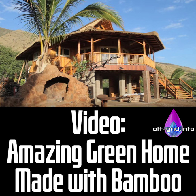 Video Amazing Green Home Made with Bamboo