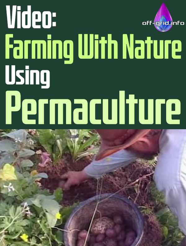 Video Farming With Nature Using Permaculture
