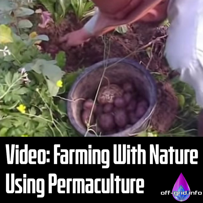Video: Farming With Nature Using Permaculture